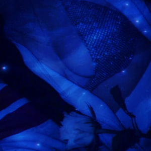 一级黄色操女人
